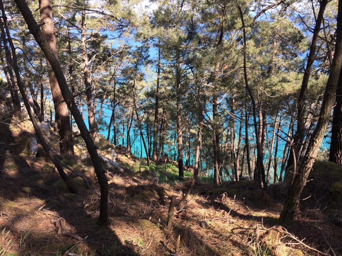 Une Terrasse Sur La Mer Crozon Zewnętrze zdjęcie